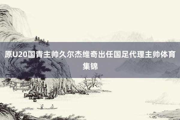 原U20国青主帅久尔杰维奇出任国足代理主帅体育集锦
