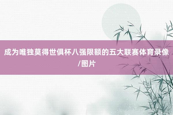 成为唯独莫得世俱杯八强限额的五大联赛体育录像/图片