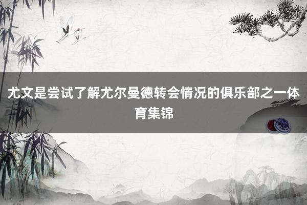 尤文是尝试了解尤尔曼德转会情况的俱乐部之一体育集锦