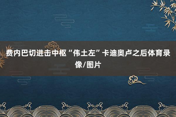 费内巴切进击中枢“伟土左”卡迪奥卢之后体育录像/图片